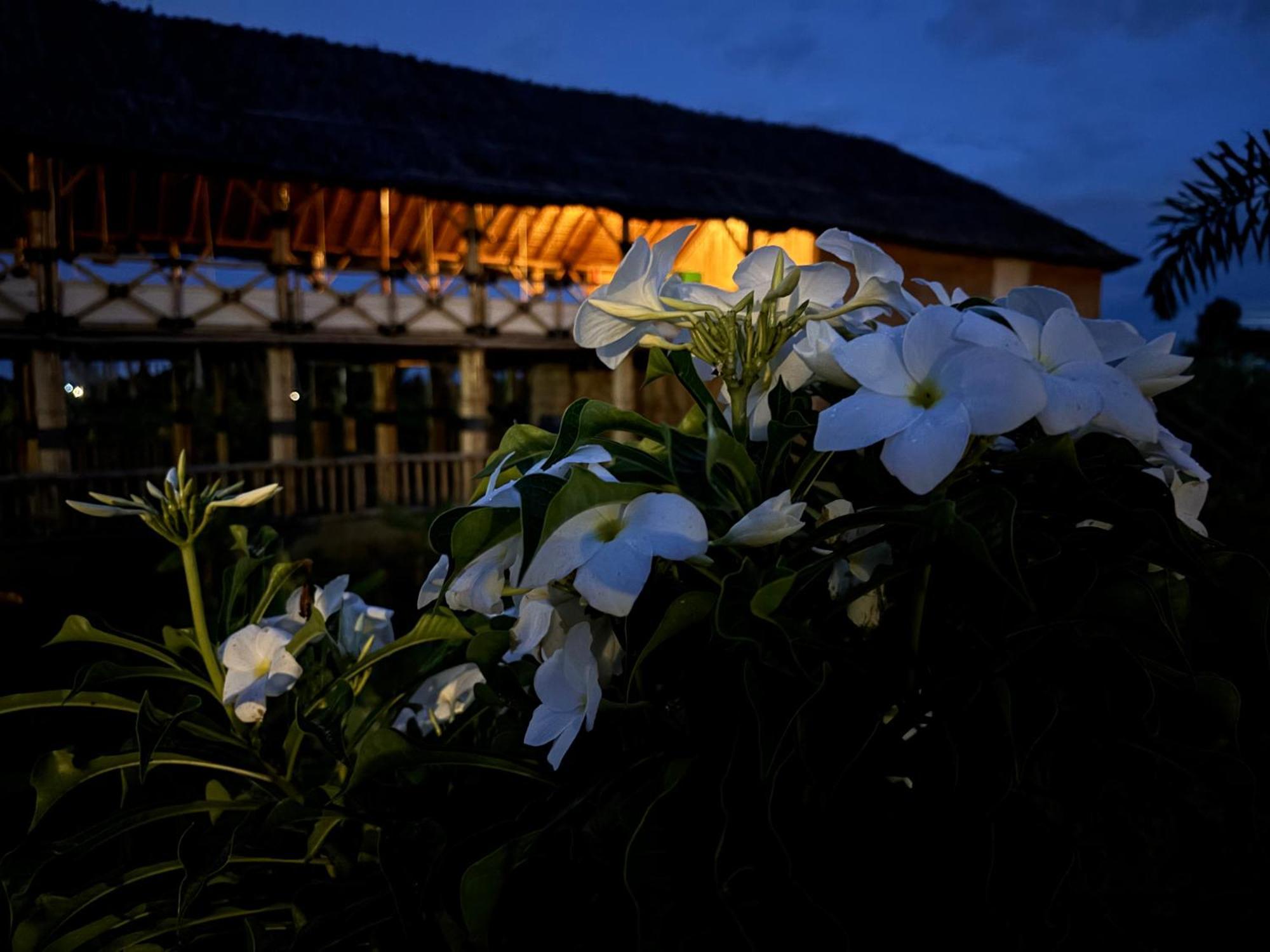 Mowgli'S Cafe Hampi & Guest House Екстер'єр фото